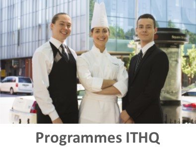 programmes ithq